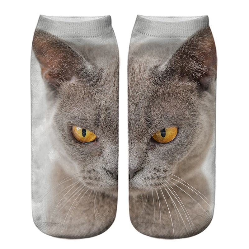 Kreativa Strumpor Med Katttryck